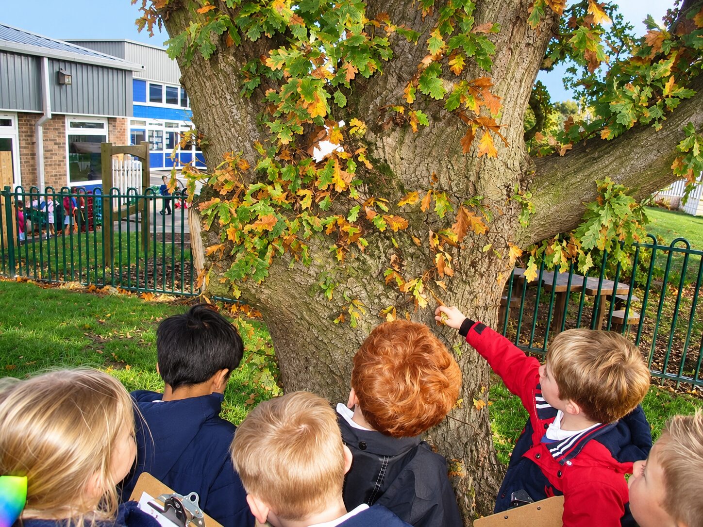 Students gathered around the trunk of an oak tree on their school grounds